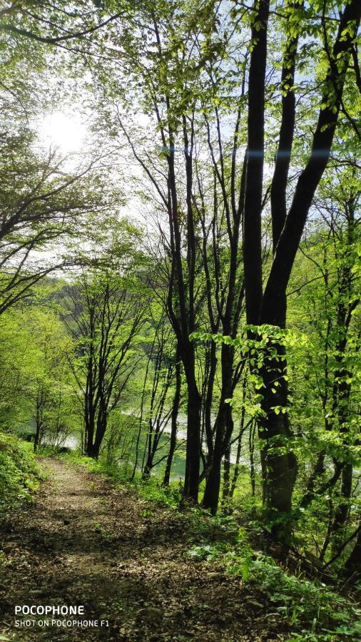 Smaragd River Near Rastoke & Plitvice Lakes Slunj Ngoại thất bức ảnh